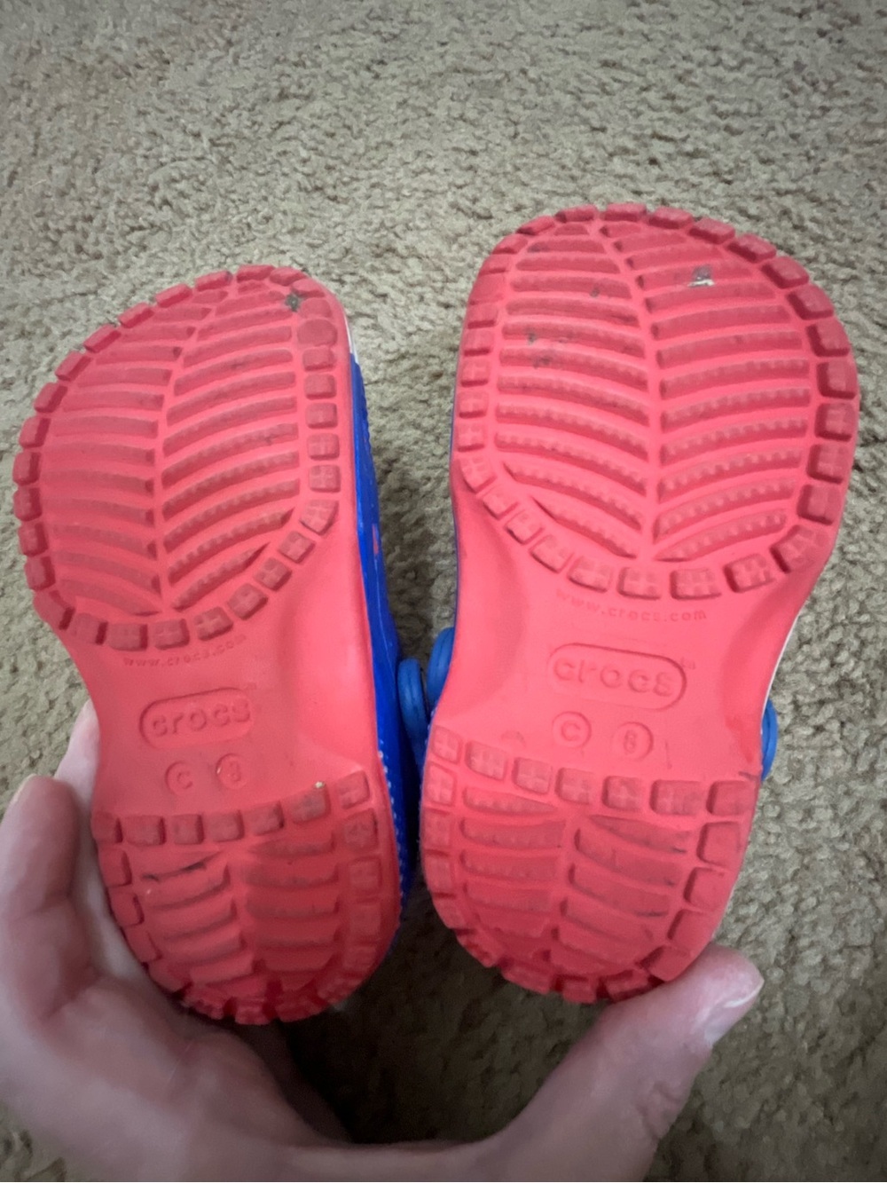 Crocs - Picture 4 of 4